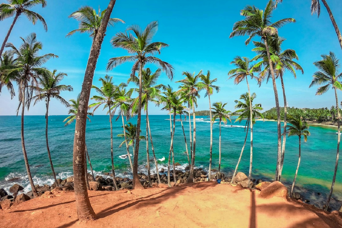 Sri Lanka inedito, tra elefanti sulle strade e templi segreti: viaggio dove regna la natura