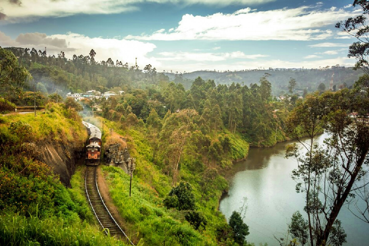 Sri Lanka inedito, tra elefanti sulle strade e templi segreti: viaggio dove regna la natura