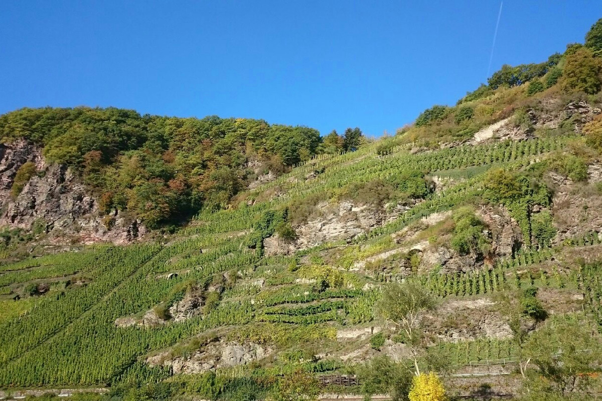 Camminare sospesi a 15 metri su robuste mura di pietra: un’esperienza alla portata di tutti