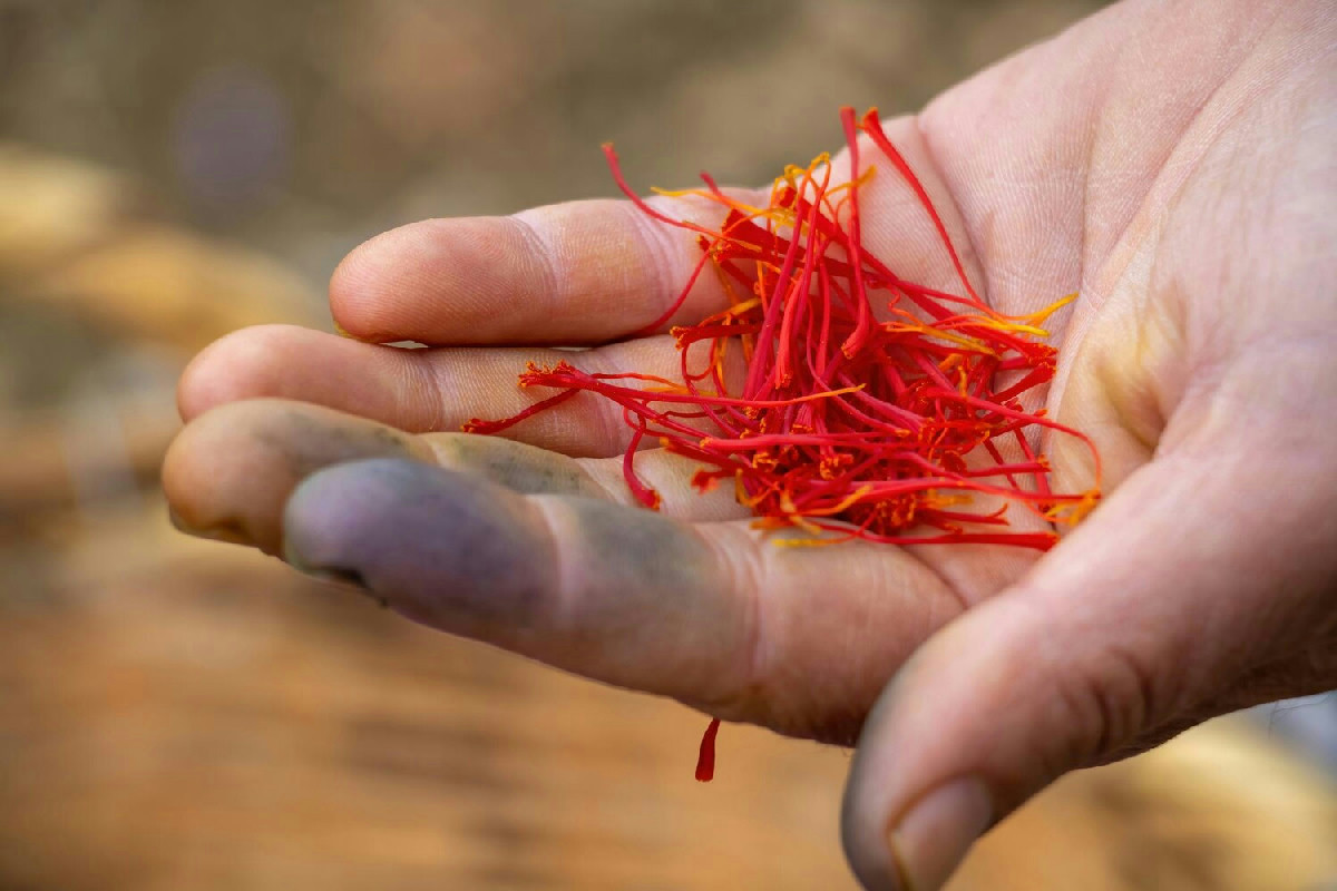 I Cappellacci di pere e provolone Dop: il primo piatto cremonese dal cuore cremoso e irresistibile