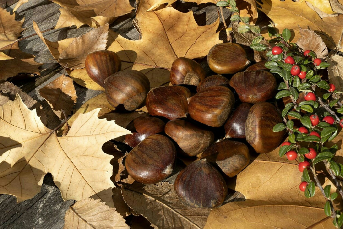 Cosa accade quando il Monte Bianco incontra la crema di marroni affumicata e mascarpone?