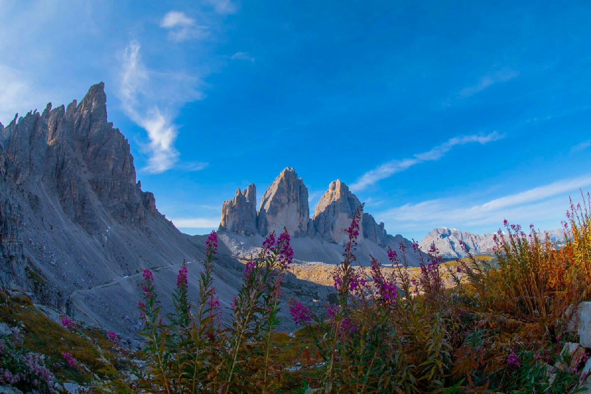 Cosa rende unico il Trentino tra foreste secolari, acque limpide e tradizioni senza tempo?