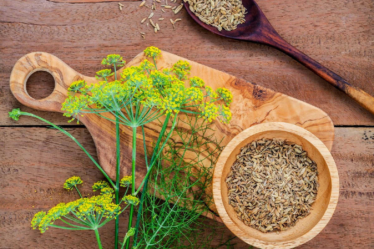 Il finocchietto trasforma il pesto: ecco perché questa ricetta siciliana fa impazzire tutti