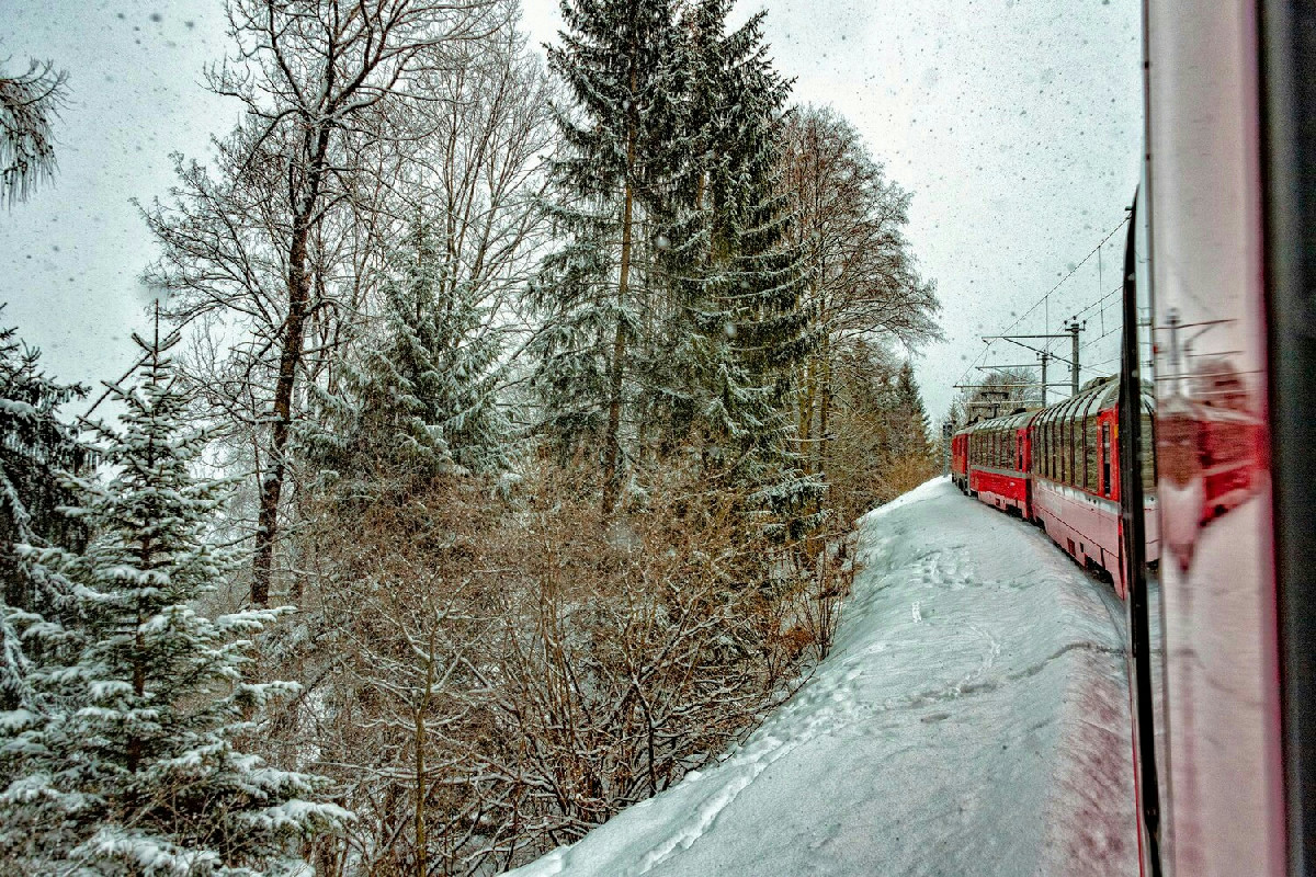 Un viaggio magico sul Treno della Neve: alla scoperta di paesaggi incantati e atmosfere natalizie